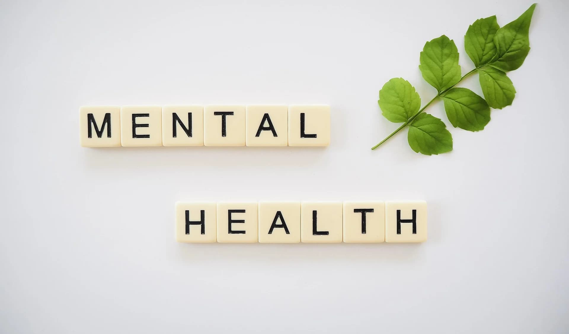 Tulisan "Mental Health" dari susunan kubus huruf. Tulisan "Mental Health" dari susunan kubus huruf.