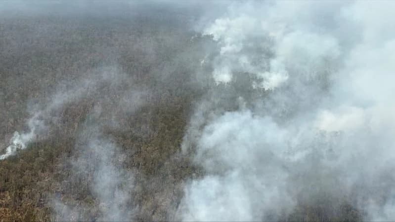 Penanganan karhutla di Waykambas, Lampung. Penanganan karhutla di Waykambas, Lampung.