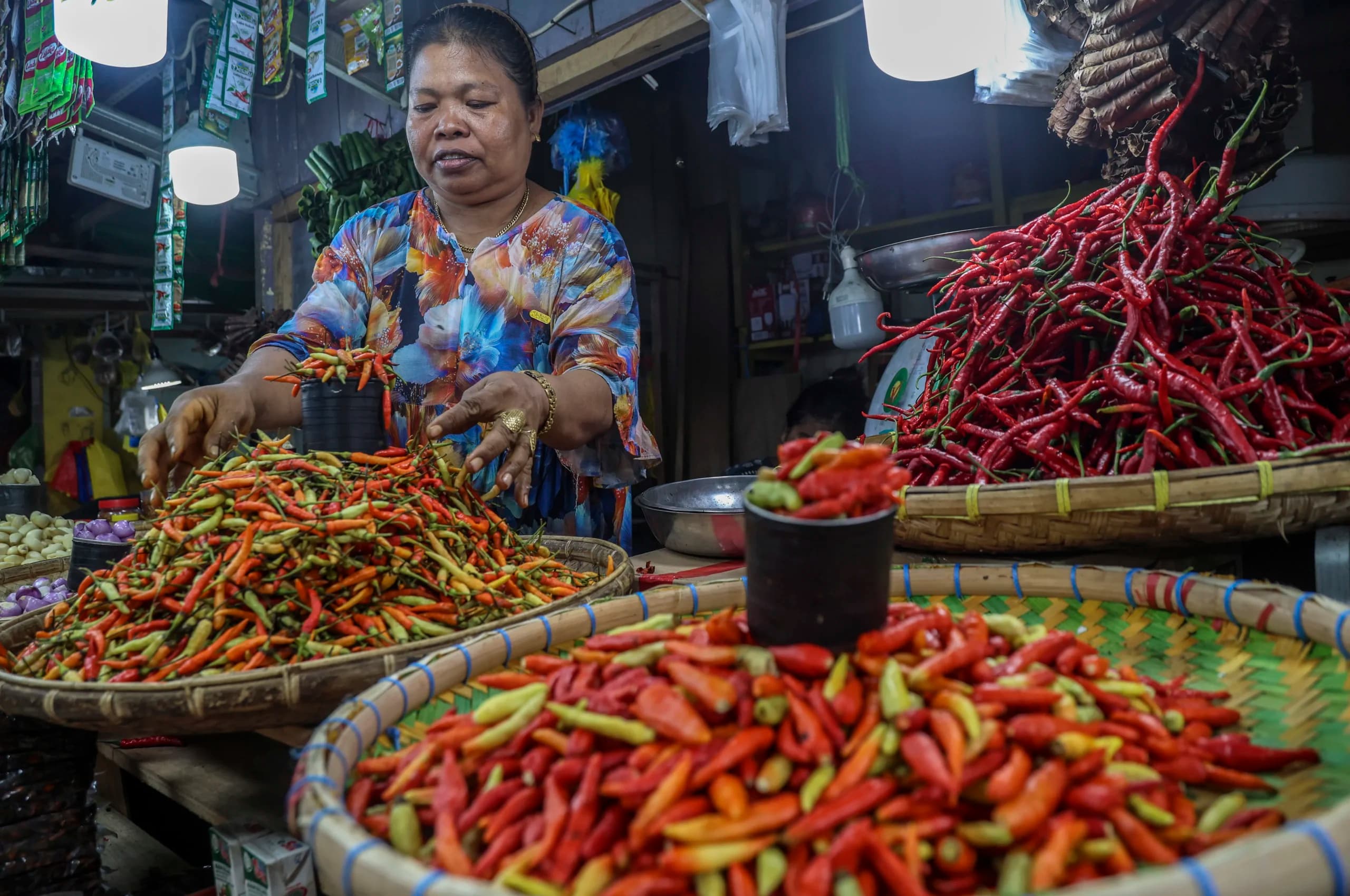 Pedagang menyortir cabai rawit untuk dijual di Pasar Barito, Ternate, Maluku Utara, Minggu (11/10/2026). Pedagang menyortir cabai rawit untuk dijual di Pasar Barito, Ternate, Maluku Utara, Minggu (11/10/2026).