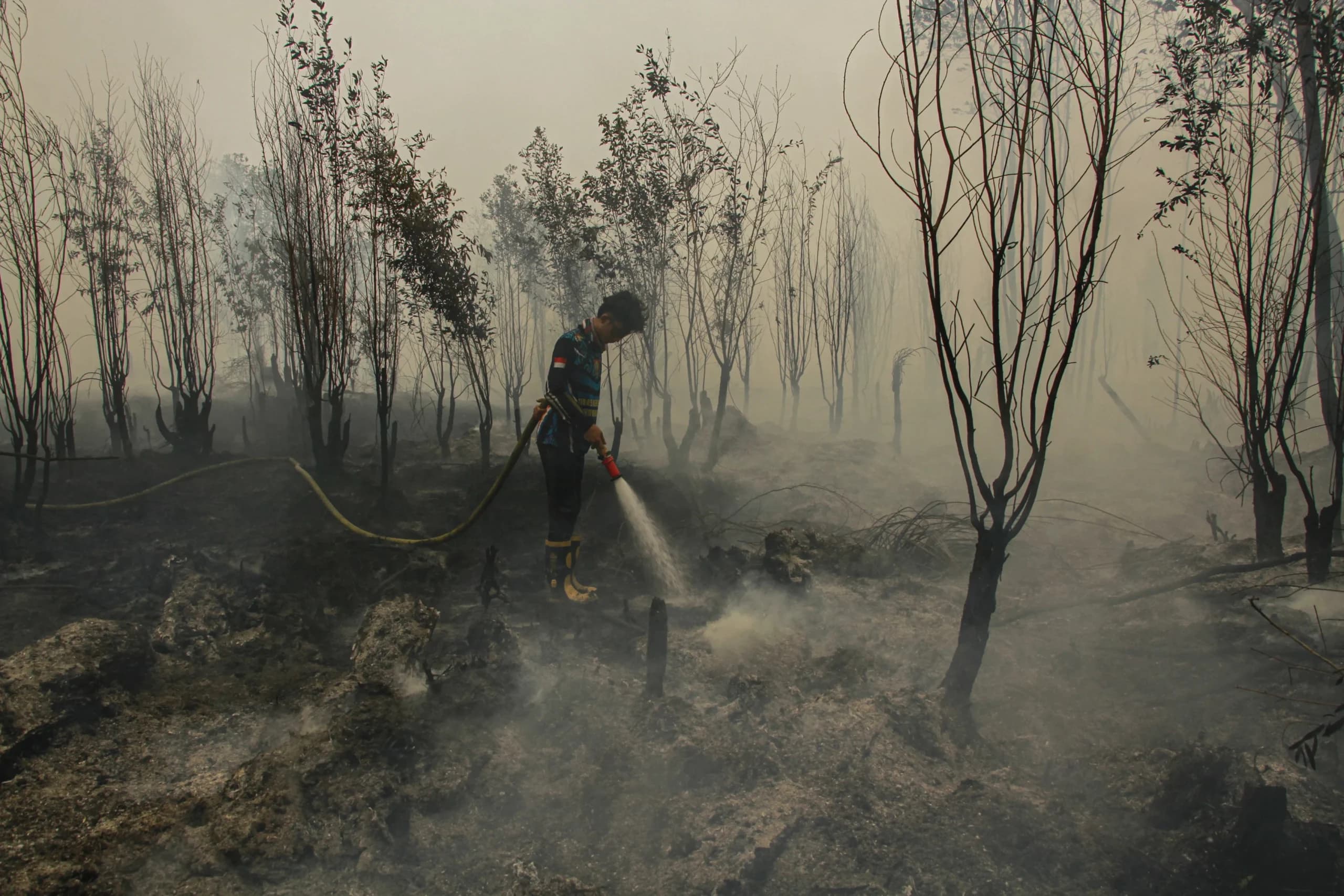 Petugas berupaya memadamkan kebakaran lahan yang mendekati kawasan permukiman warga di Kecamatan Jekan Raya, Palangka Raya, Kalimantan Tengah, Jumat (9/10/2026). Petugas berupaya memadamkan kebakaran lahan yang mendekati kawasan permukiman warga di Kecamatan Jekan Raya, Palangka Raya, Kalimantan Tengah, Jumat (9/10/2026).