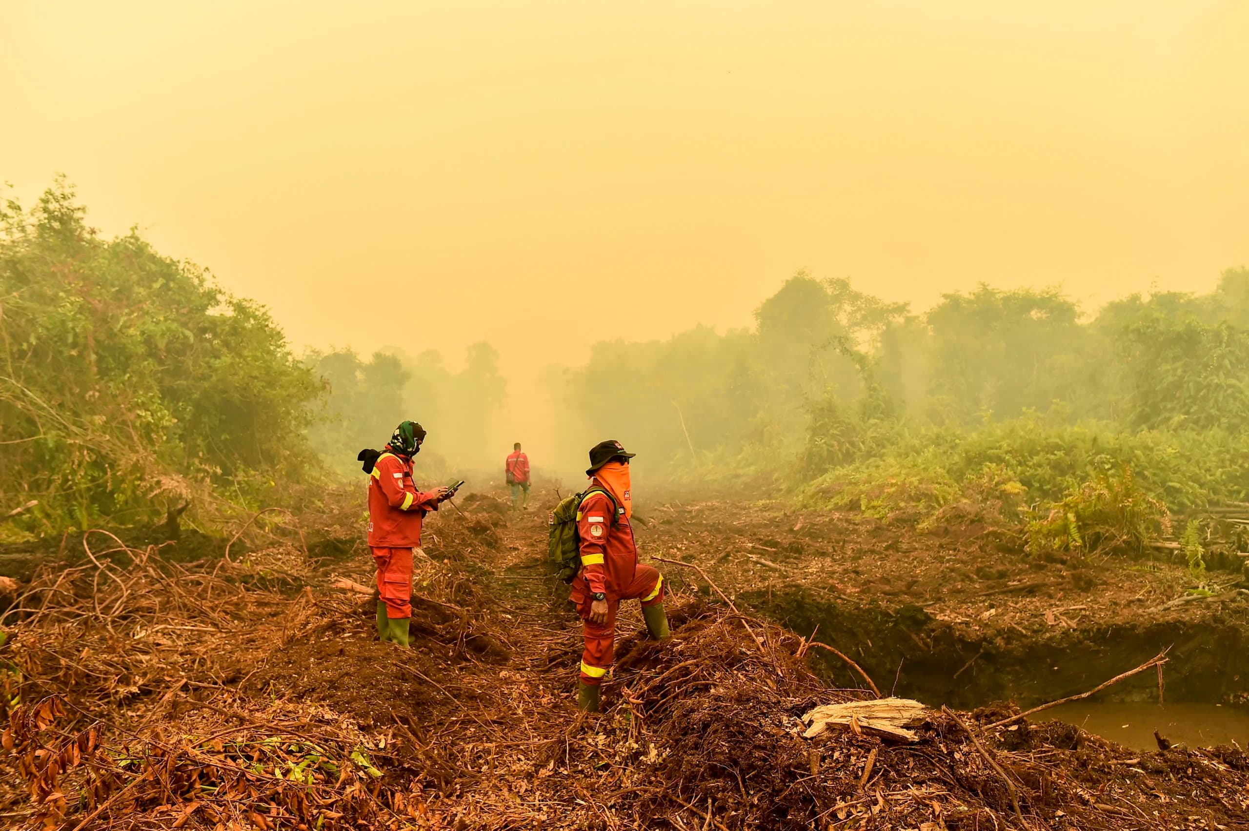 Petugas Manggala Agni Daops Sumatera XII Muara Tebo bersama Pendamping Tahura OKH Dinas Kehutanan Provinsi Jambi melakukan pengecekan titik api di Taman Hutan Raya (Tahura) Orang Kayo Hitam (OKH), Desa Gedong Karya, Muaro Jambi, Jambi, Jumat (16/10/2026). Petugas Manggala Agni Daops Sumatera XII Muara Tebo bersama Pendamping Tahura OKH Dinas Kehutanan Provinsi Jambi melakukan pengecekan titik api di Taman Hutan Raya (Tahura) Orang Kayo Hitam (OKH), Desa Gedong Karya, Muaro Jambi, Jambi, Jumat (16/10/2026).