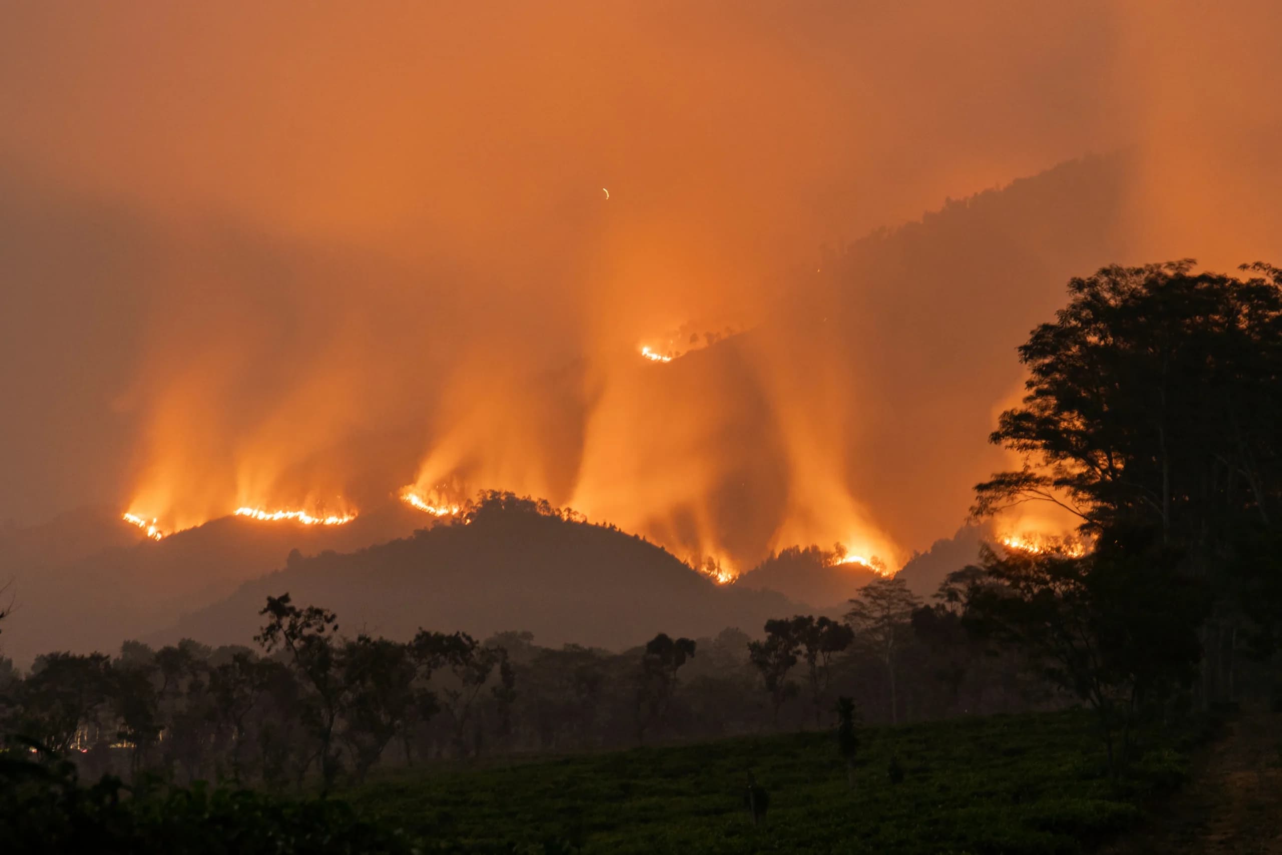 Api membakar vegetasi di kawasan Gunung Arjuno, Lawang, Kabupaten Malang, Jawa Timur, Selasa (20/10/2026). Berdasarkan data UPT Tahura Raden Soerjo, lebih dari 100 titik api terpantau dalam kebakaran yang berlangsung sejak Kamis (15/10) tersebut, sementara upaya penanganan melibatkan puluhan petugas gabungan Polri, Polisi Hutan, Manggala Agni, Masyarakat Peduli Api (MPA), dan relawan. ANTARA FOTO/Irfan Sumanjaya Api membakar vegetasi di kawasan Gunung Arjuno, Lawang, Kabupaten Malang, Jawa Timur, Selasa (20/10/2026). Berdasarkan data UPT Tahura Raden Soerjo, lebih dari 100 titik api terpantau dalam kebakaran yang berlangsung sejak Kamis (15/10) tersebut, sementara upaya penanganan melibatkan puluhan petugas gabungan Polri, Polisi Hutan, Manggala Agni, Masyarakat Peduli Api (MPA), dan relawan. ANTARA FOTO/Irfan Sumanjaya