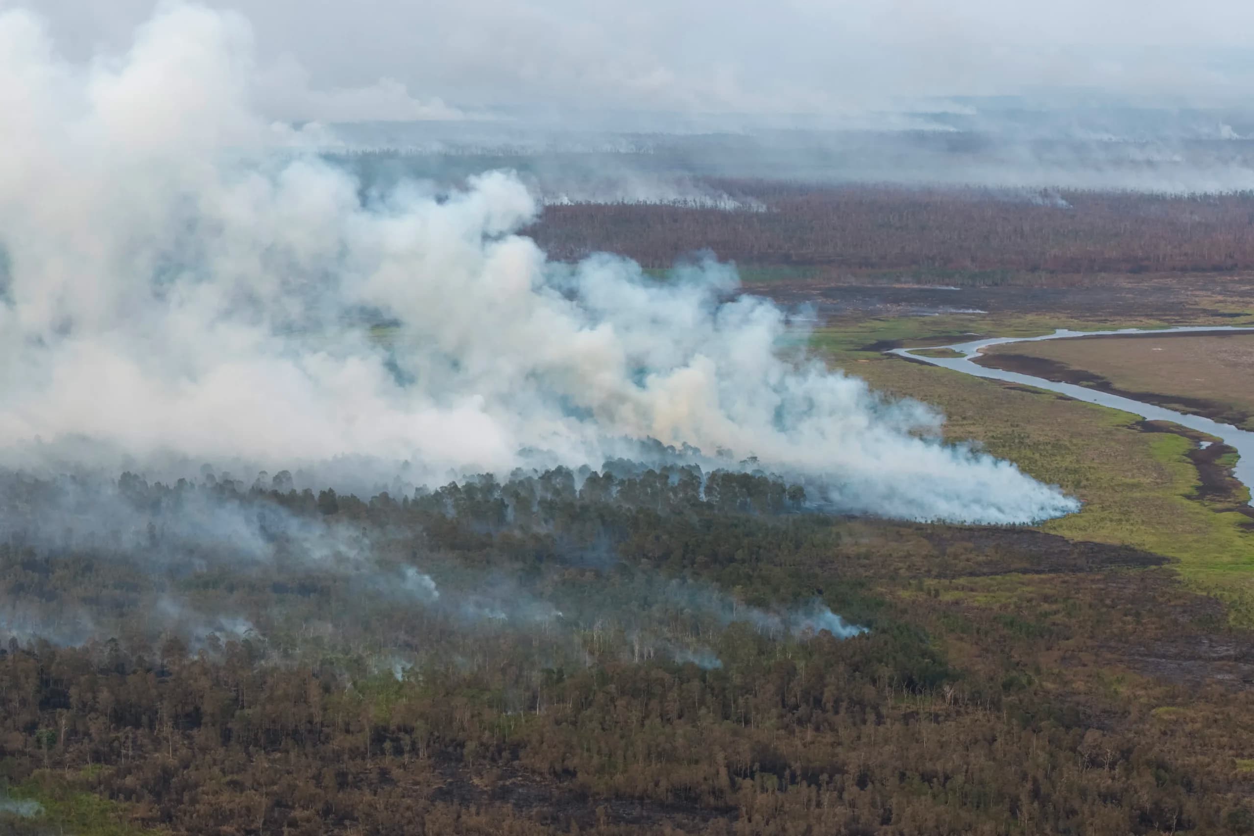 Foto udara asap membumbung tinggi dari hutan yang terbakar di kawasan Suaka Margasatwa (SM) Padang Sugihan, Pangkalan Lampan, Kabupaten Ogan Komering Ilir (OKI), Sumatera Selatan, Selasa (6/10/2026). Foto udara asap membumbung tinggi dari hutan yang terbakar di kawasan Suaka Margasatwa (SM) Padang Sugihan, Pangkalan Lampan, Kabupaten Ogan Komering Ilir (OKI), Sumatera Selatan, Selasa (6/10/2026).