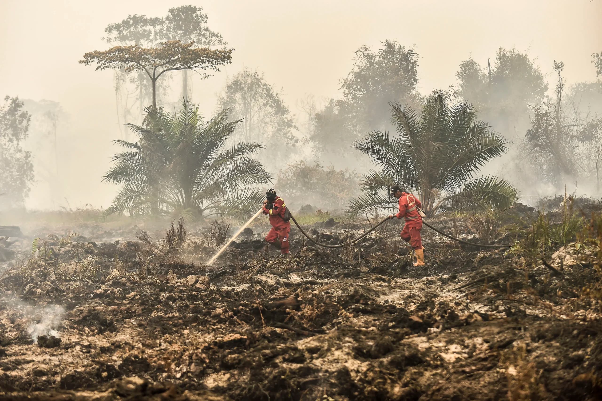 Petugas Manggala Agni Daops Sumatera XII Muara Tebo memadamkan api yang membakar lahan penyangga Taman Hutan Raya (Tahura) Orang Kayo Hitam (OKH), Desa Gedong Karya, Muaro Jambi, Jambi, Senin (19/10/2026). Petugas Manggala Agni Daops Sumatera XII Muara Tebo memadamkan api yang membakar lahan penyangga Taman Hutan Raya (Tahura) Orang Kayo Hitam (OKH), Desa Gedong Karya, Muaro Jambi, Jambi, Senin (19/10/2026).