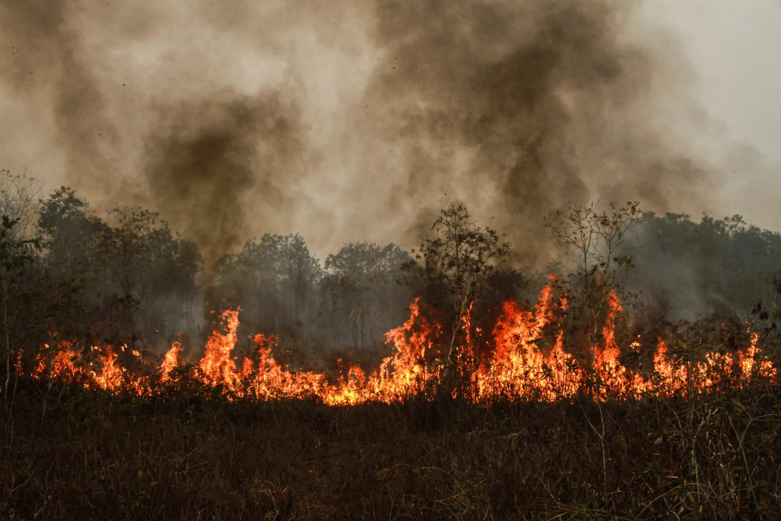 Kobaran api membakar lahan di Kecamatan Jekan Raya, Palangka Raya, Kalimantan Tengah, Minggu (18/10/2026). Kobaran api membakar lahan di Kecamatan Jekan Raya, Palangka Raya, Kalimantan Tengah, Minggu (18/10/2026).