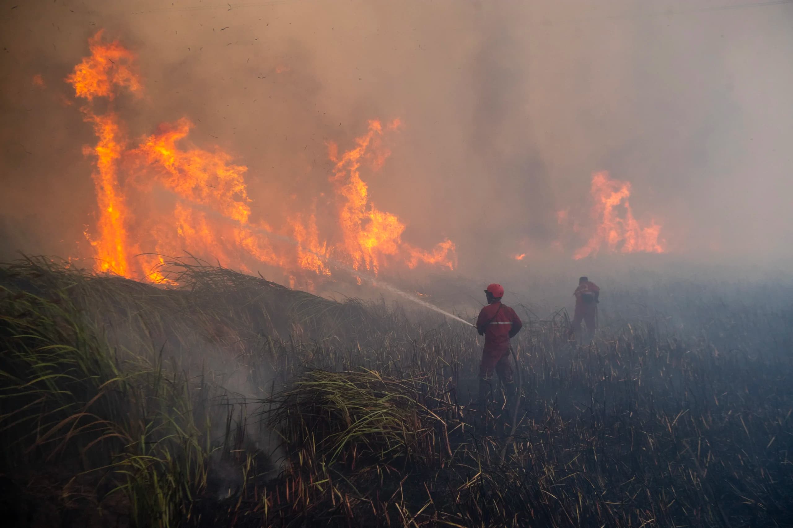 Personel Manggala Agni Daops Sumatera XIV-Banyuasin berusaha memadamkan kebakaran lahan di Desa Muara Baru, Pemulutan, Ogan Ilir (OI), Sumatera Selatan Personel Manggala Agni Daops Sumatera XIV-Banyuasin berusaha memadamkan kebakaran lahan di Desa Muara Baru, Pemulutan, Ogan Ilir (OI), Sumatera Selatan