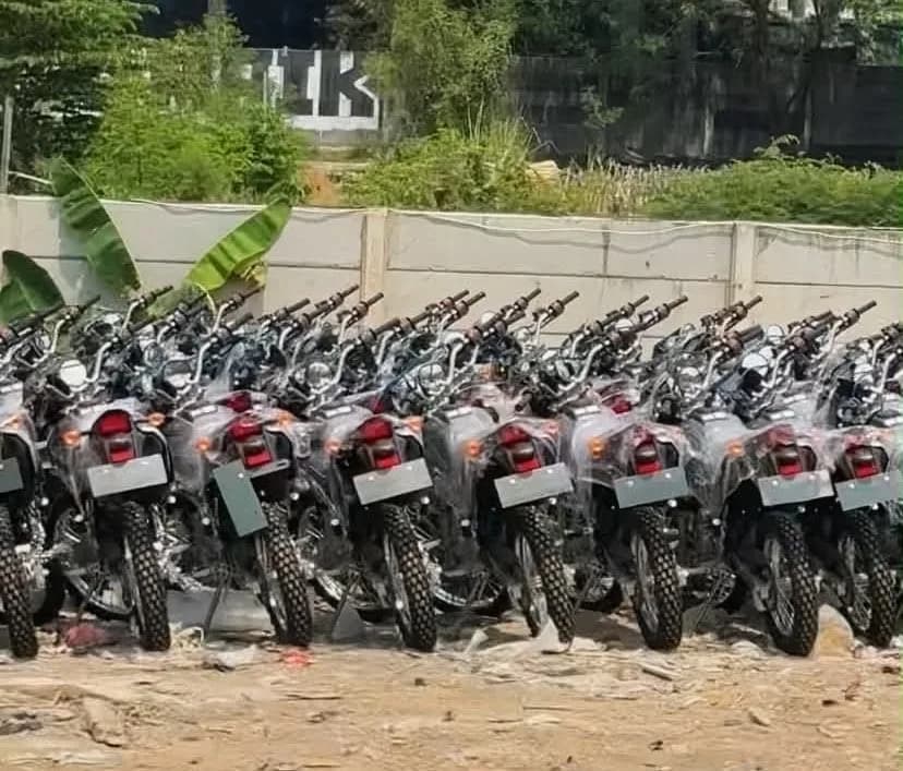 1000039264 1000039264