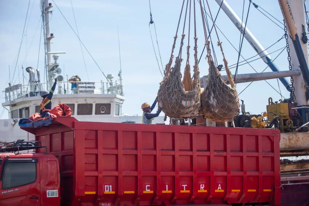 Pekerja membongkar muat jagung kering curah di Pelabuhan Cirebon, Jawa Barat, Kamis (21/5/2026). Pekerja membongkar muat jagung kering curah di Pelabuhan Cirebon, Jawa Barat, Kamis (21/5/2026).