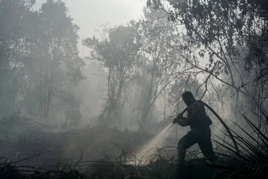 Personel TNI menyemprotkan air saat berupaya memadamkan kebakaran lahan gambut yang meluas di Desa Rimbo Panjang, Kecamatan Tambang, Kabupaten Kampar, Riau, Rabu (19/8/2026). Personel TNI menyemprotkan air saat berupaya memadamkan kebakaran lahan gambut yang meluas di Desa Rimbo Panjang, Kecamatan Tambang, Kabupaten Kampar, Riau, Rabu (19/8/2026).