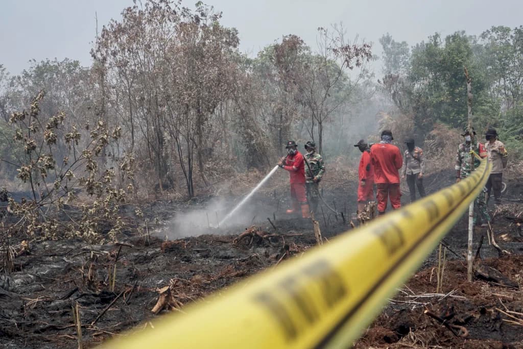 Petugas Kepolisian Polres Kampar dibantu Satgas Karhutla Riau memasang garis polisi saat menyegel lahan seluas lima hektare yang terbakar di Desa Rimbo Panjang, Kabupaten Kampar, Riau, Sabtu (22/8/2026). Petugas Kepolisian Polres Kampar dibantu Satgas Karhutla Riau memasang garis polisi saat menyegel lahan seluas lima hektare yang terbakar di Desa Rimbo Panjang, Kabupaten Kampar, Riau, Sabtu (22/8/2026).