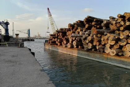 Ilustrasi, tumpukan kayu yang siap untuk dikirim