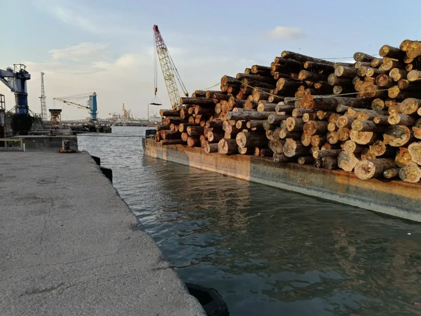 Ilustrasi, tumpukan kayu yang siap untuk dikirim