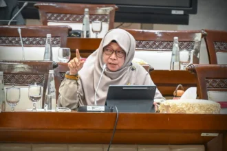 Anggota Komisi XI DPR RI Anis Byarwati