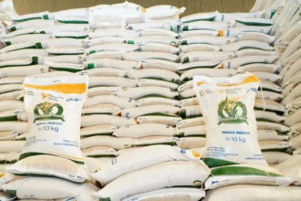 Ilustrasi, Stok beras terpenuhi