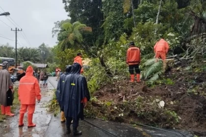 Sumber foto: BPDB Tapanuli Tengah dan Tapanuli Selatan