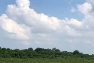 Ilustrasi, Cuaca Berawan