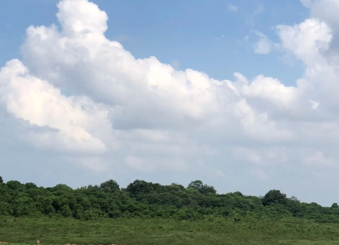 Ilustrasi, Cuaca Berawan