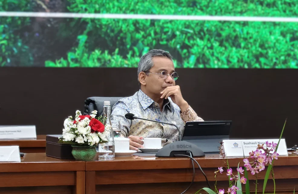 Wakil Menteri Keuangan Suahasil Nazara