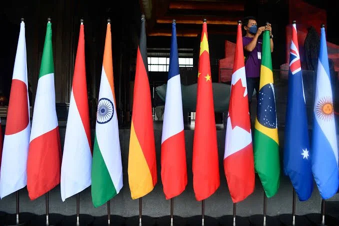 Ilustrasi, Bendera anggota G20