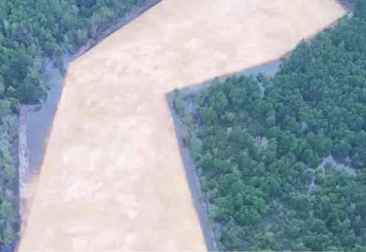 Dugaan pembabatan hutan mangrove seluas kurang lebih 3 hektare di Kelurahan Anduonohu, Kecamatan Poasia, Kota Kendar