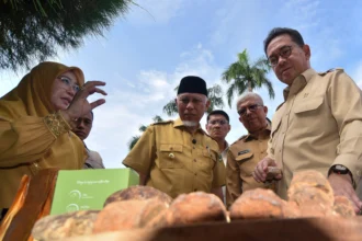 Menteri Perdagangan Budi Santoso (kanan) bersama Gubernur Sumbar Mahyeldi (kedua kiri) melihat contoh gambir