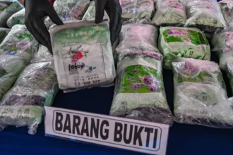 gambar ilustrasi barang bukti narkoba