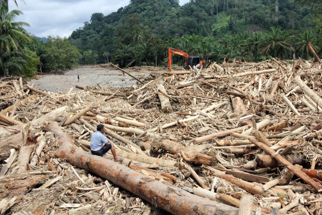 Sampah kayu gelondongan banjir bandang di Tapanuli Selatan