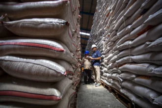 Kepala Bulog KC Batam Guido XL Pereira (kanan) memeriksa stok beras di gudang penyimpanan Bulog Batam, Kepulauan Riau, Rabu (26/11/2026). Bulog Batam menyebutkan ketersediaan beras mencapai 3.193 ton yang diproyeksikan dapat memenuhi kebutuhan masyarakat Batam selama empat hingga lima bulan ke depan.