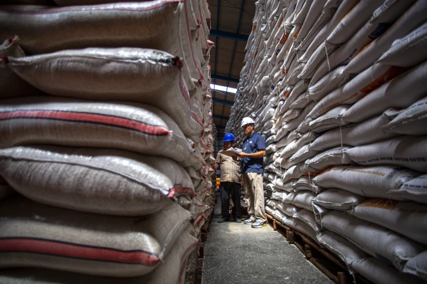 Kepala Bulog KC Batam Guido XL Pereira (kanan) memeriksa stok beras di gudang penyimpanan Bulog Batam, Kepulauan Riau, Rabu (26/11/2026). Bulog Batam menyebutkan ketersediaan beras mencapai 3.193 ton yang diproyeksikan dapat memenuhi kebutuhan masyarakat Batam selama empat hingga lima bulan ke depan.