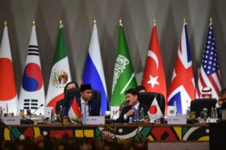 Wakil Presiden RI, Gibran Rakabuming Raka saat di Konferensi Tingkat Tinggi (KTT) G20 di Afrika Selatan