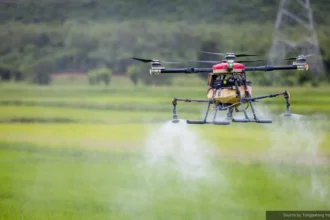 Sumber foto: terra-drone.co.id