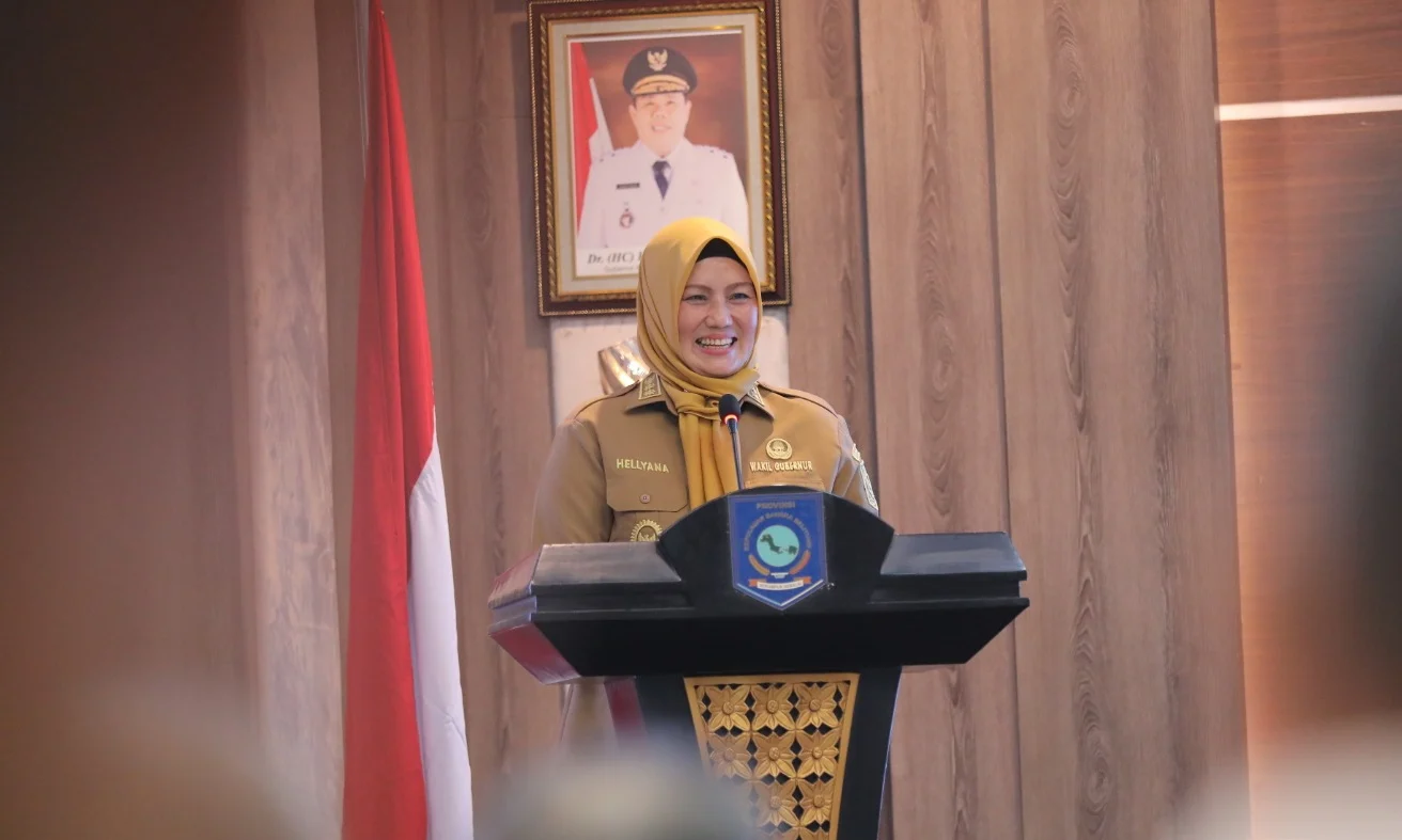 Wagub Provinsi Bangka Belitung (Babel), Hellyana