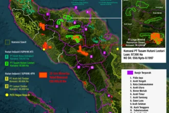 Peta yang memuat sejumlah perusahaan pemilik konsesi atau izin usaha pemanfaatan hutan di Aceh, termasuk salah satunya PT Tusam Hutani Lestari yang menguasai luasan 97 ribu hektare, yang diduga milik Prabowo Subianto.