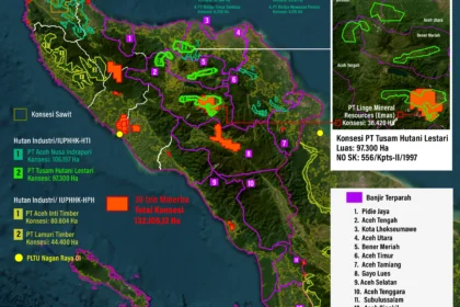 Peta yang memuat sejumlah perusahaan pemilik konsesi atau izin usaha pemanfaatan hutan di Aceh, termasuk salah satunya PT Tusam Hutani Lestari yang menguasai luasan 97 ribu hektare, yang diduga milik Prabowo Subianto.
