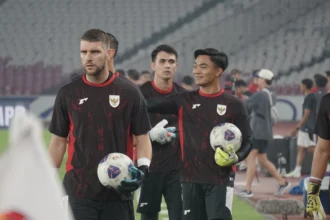 Penjaga Gawang Timnas Indonesia, Maarten Paes