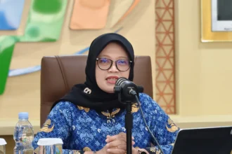 Deputi Bidang Statistik Distribusi dan Jasa BPS, Pudji Ismartini