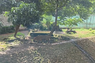 Taman Margasatwa Ragunan