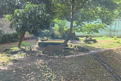 Taman Margasatwa Ragunan