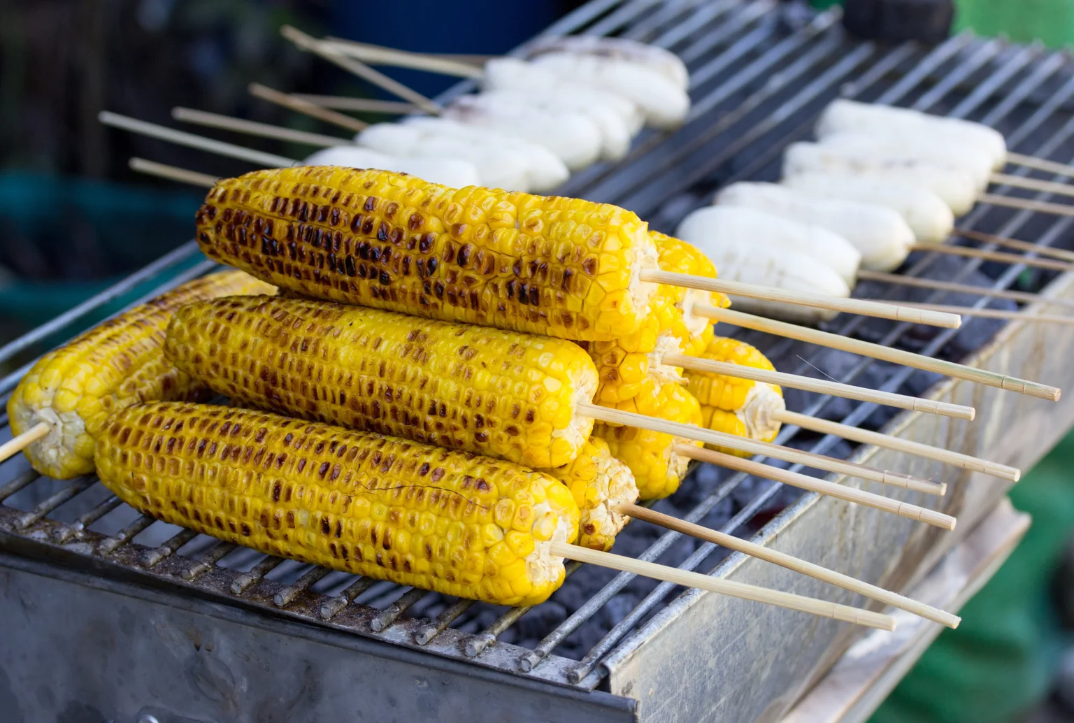 Jagung Bakar Berkualitas