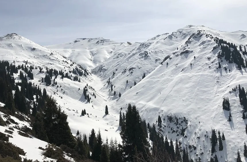 Ilustrasi Pengunungan bersalju