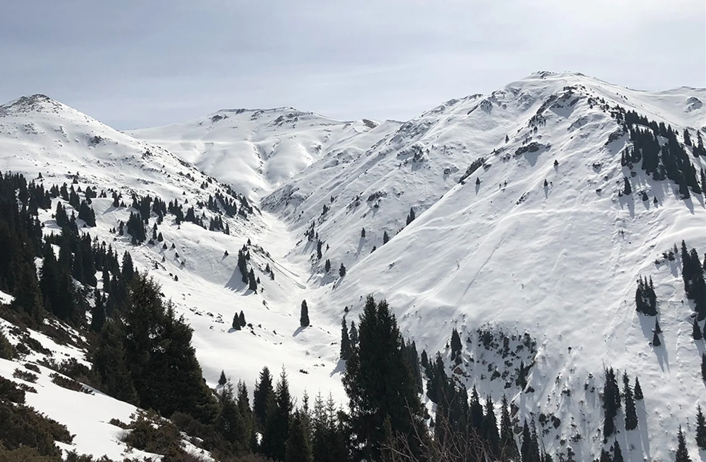 Ilustrasi Pengunungan bersalju