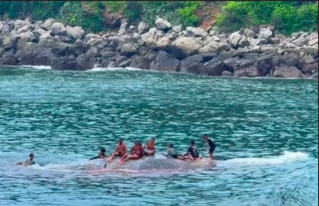 Sejumlah anak-anak dari Nusa Tenggara Timur asyik bermain dan berenang bersama ikan puas