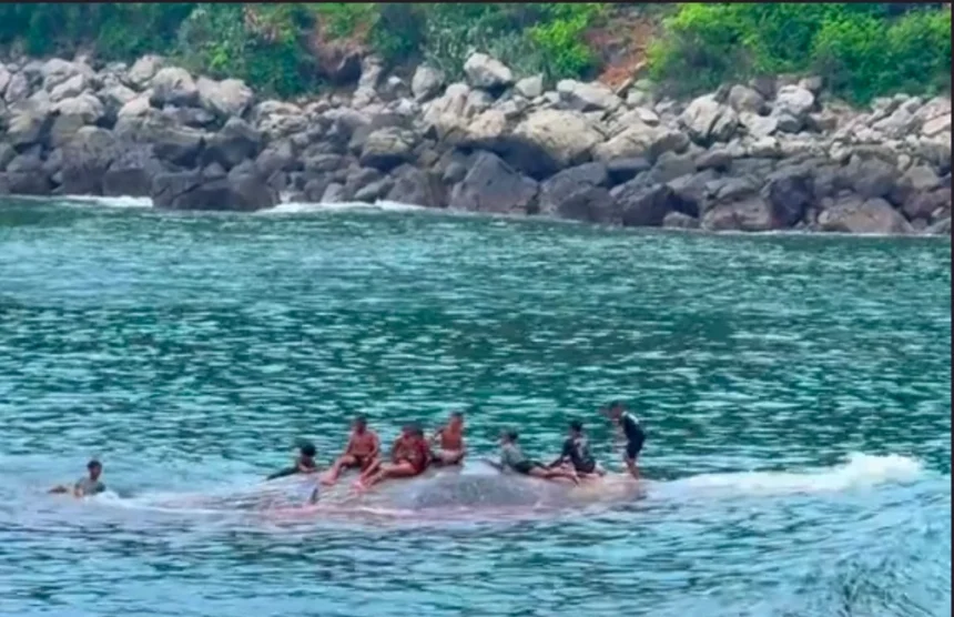 Sejumlah anak-anak dari Nusa Tenggara Timur asyik bermain dan berenang bersama ikan puas