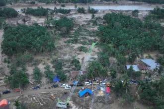 Crane disulap jadi tower listrik di Sumatera