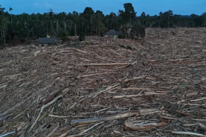 Foto udara kayu gelondongan yang terbawa arus banjir mengepung rumah warga di Desa Geudumbak, Kecamatan Langkahan, Aceh Utara, Aceh