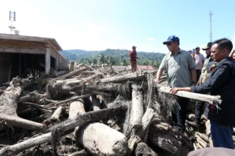 Menteri Dalam Negeri (Mendagri) Tito Karnavian (ketiga kanan) melihat tumpukan gelondongan kayu pascabencana banjir bandang di Lokop, Serbajadi, Aceh Timur, Aceh