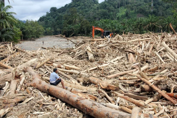 Warga mengamati sampah kayu gelondongan pasca banjir bandang di Desa Aek Garoga, Kecamatan Batang Toru, Kabupaten Tapanuli Selatan, Sumatera Utara, Sabtu (29/11/2025). Sampah kayu gelondongan tersebut menumpuk di pemukiman warga dan sungai pasca banjir bandang pada Selasa (25/11).
