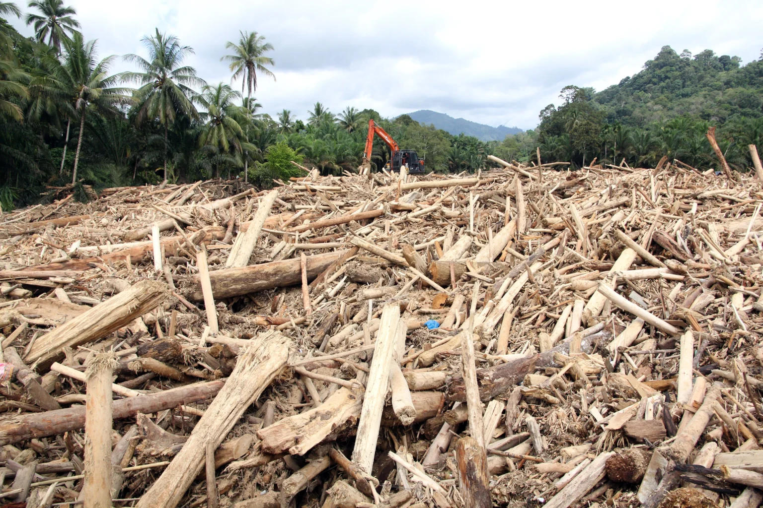 Petugas menggunakan alat berat membersihkan sampah kayu gelondongan pasca banjir bandang di Desa Aek Garoga, Kecamatan Batang Toru, Kabupaten Tapanuli Selatan, Sumatera Utara.