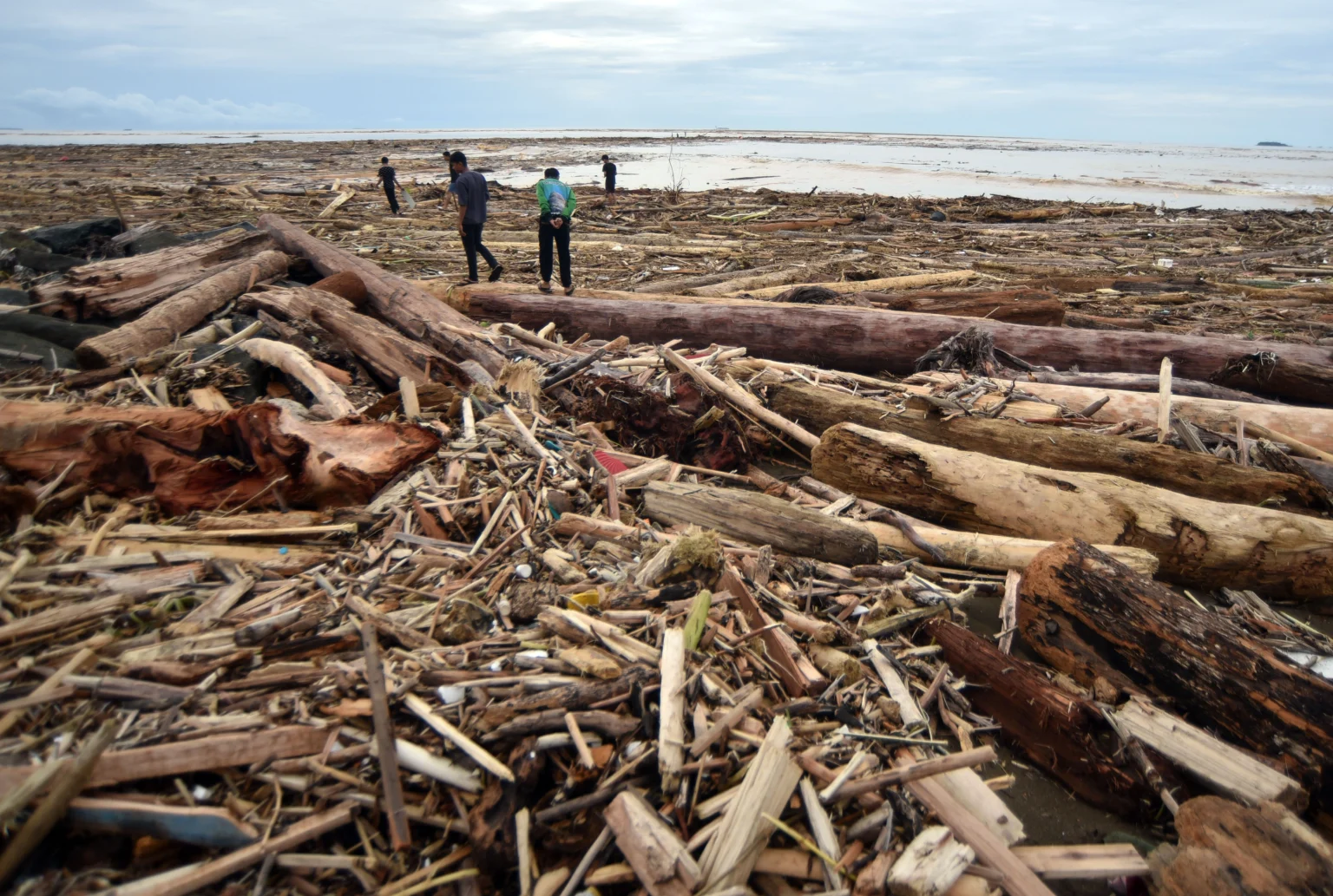 Sejumlah warga berjalan di antara potongan kayu gelondongan yang bertumpuk di pantai Air Tawar, Padang, Sumatera Barat, Jumat (28/11/2025).
