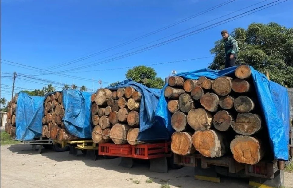 Potongan Kayu di Wilayah Sumatera.